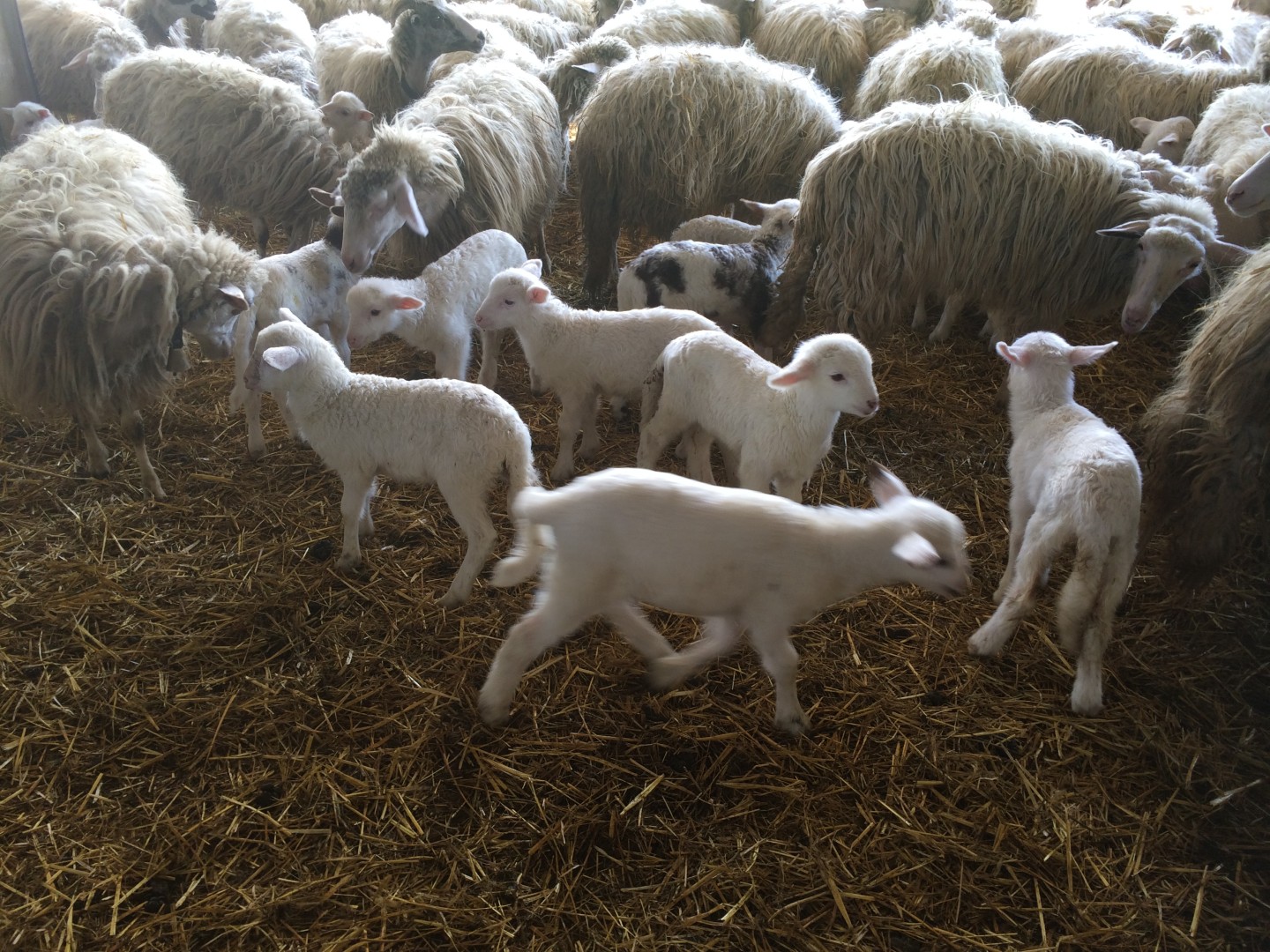 sardegna-grand-hotel-terme-azienda-cuscusa-travel-valentina-coco-fashion-blogger